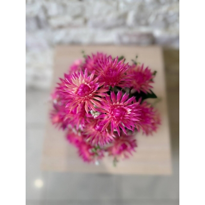 Сосна, 1,5 м. Розпушена