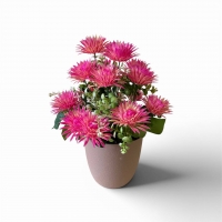 Букет астры пластиковой в кашпо