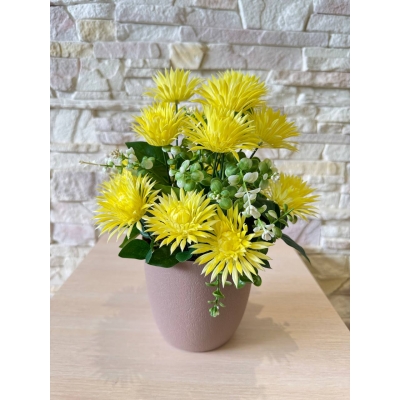 Сосна, 1,5 м. Розпушена