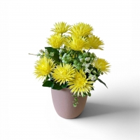 Букет астры пластиковой в кашпо