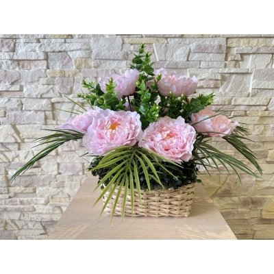 Сосна, 1,5 м. Розпушена