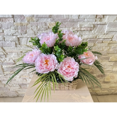 Сосна, 1,5 м. Розпушена