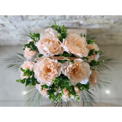 Сосна, 1,5 м. Розпушена