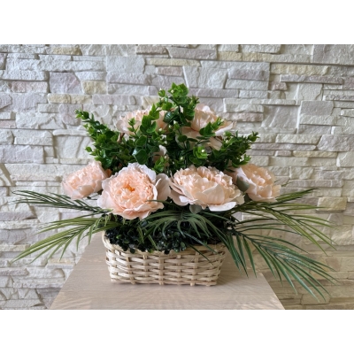 Сосна, 1,5 м. Розпушена