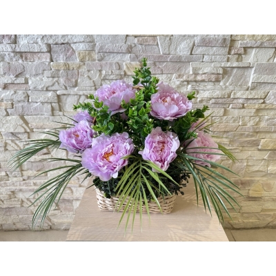 Сосна, 1,5 м. Розпушена