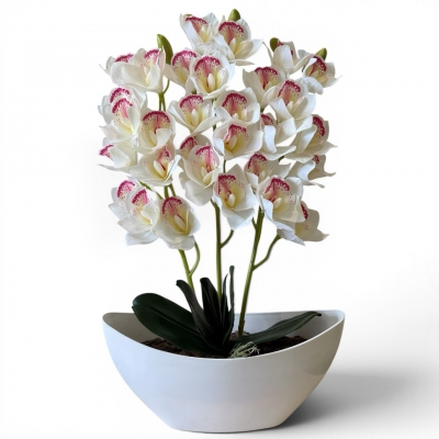 Сосна, 1,5 м. Розпушена