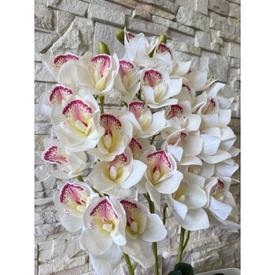 Сосна, 1,5 м. Розпушена