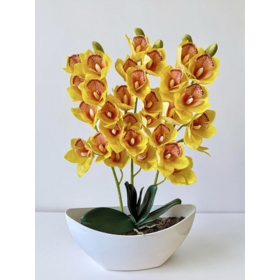 Сосна, 1,5 м. Розпушена