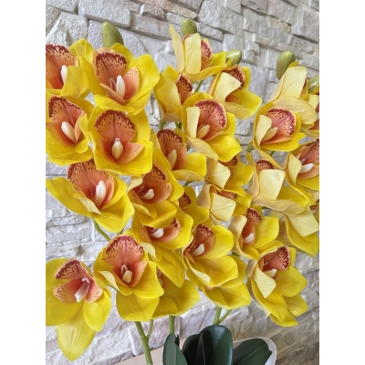 Сосна, 1,5 м. Розпушена