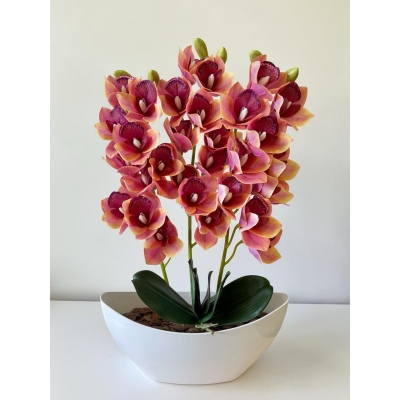 Сосна, 1,5 м. Розпушена