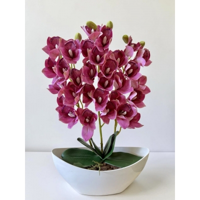 Сосна, 1,5 м. Розпушена