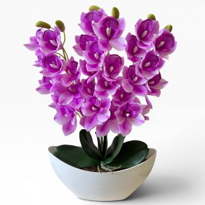 Сосна, 1,5 м. Розпушена