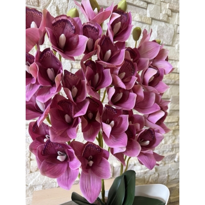 Сосна, 1,5 м. Розпушена