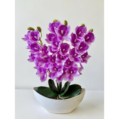 Сосна, 1,5 м. Розпушена