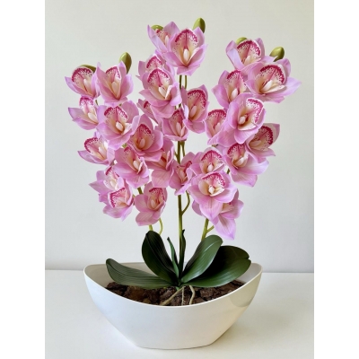 Сосна, 1,5 м. Розпушена