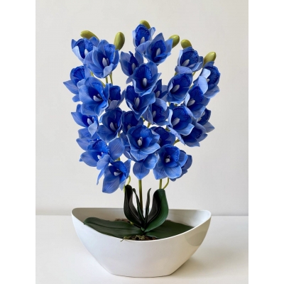 Сосна, 1,5 м. Розпушена