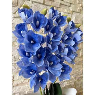 Сосна, 1,5 м. Розпушена