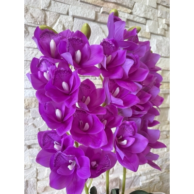 Сосна, 1,5 м. Розпушена