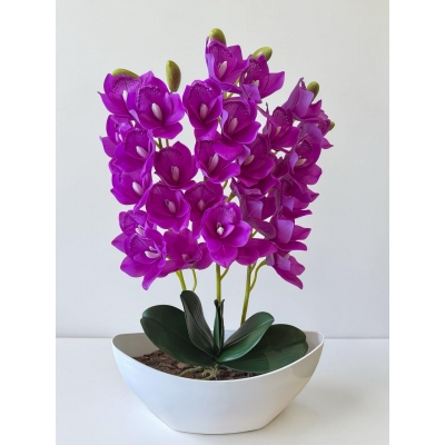 Сосна, 1,5 м. Розпушена