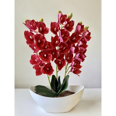 Сосна, 1,5 м. Розпушена