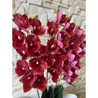 Сосна, 1,5 м. Розпушена