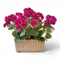 Artificial Pelargonium in a Rectangular Vase