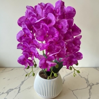 Artificial orchid on 3 branches in a round pot with latex flowers