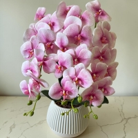 Artificial orchid on 3 branches in a round pot with latex flowers