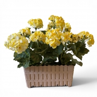 Artificial Pelargonium in a Rectangular Vase